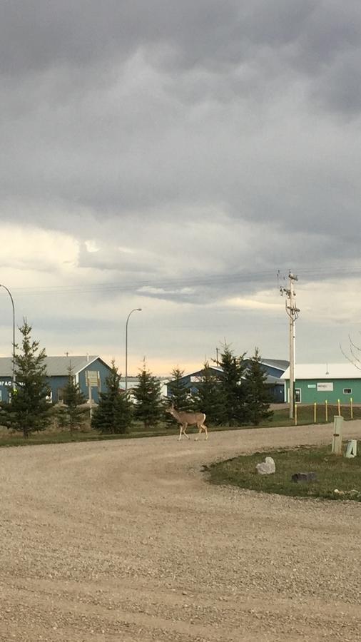 Bulldog Inns Sundre Exterior photo